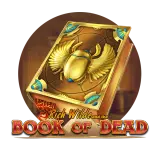 Book of Dead Slot